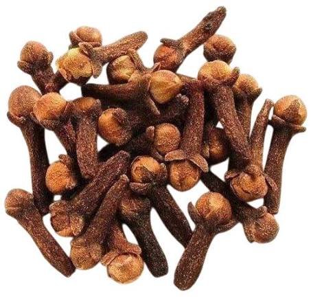 Clove