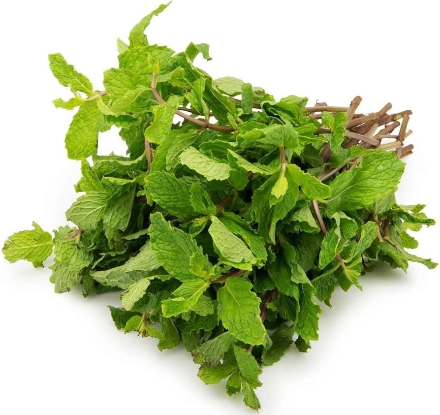 Mint Leaves