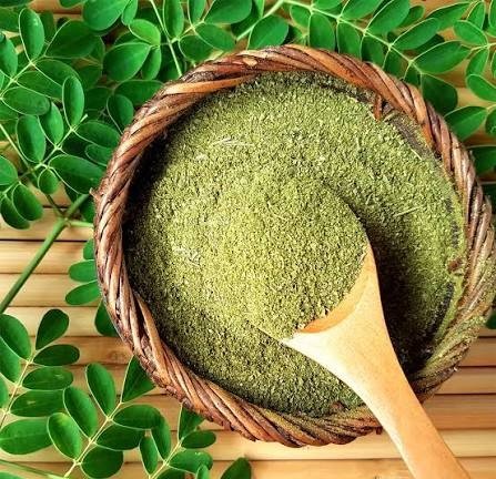 Moringa Powder